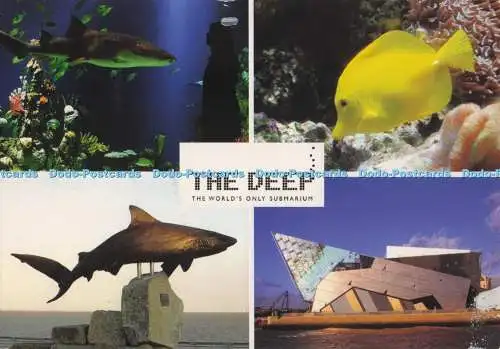 D277801 The Deep The World Only Submarium John Hinde Multi View