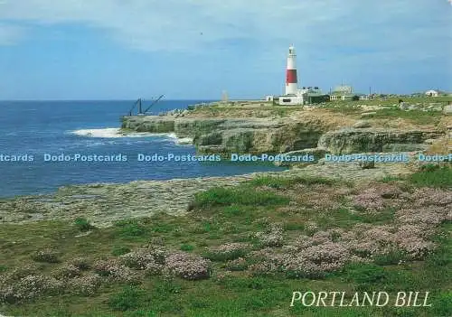 D280086 Portland Bill and Lighthouse J Salmon 1992