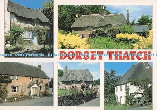 D287014 Dorset Thatch Osmington Milton Abbas J Salmon Sevenoaks Kent Multi View