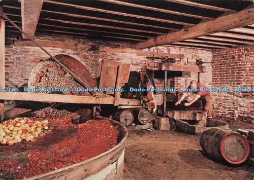 D277886 Hereford Museum of Cider Modern Farm Cidermaking Judges C 5708 X