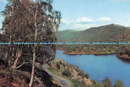 D284831 Inverness Auenland Silberbirken von Loch Beneveian J Arthur Dixon Ltd