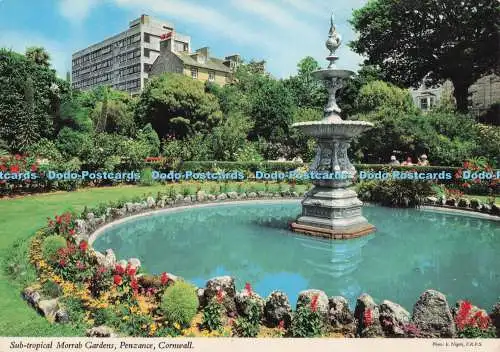 D280154 Cornwall Penzance Sub Tropical Morrab Gardens John Hinde E Nagele
