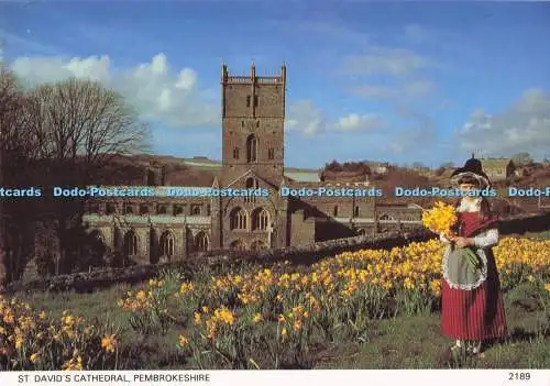 D284849 Pembrokeshire St David Cathedral Pembrokeshire Eye Postkarten Ltd