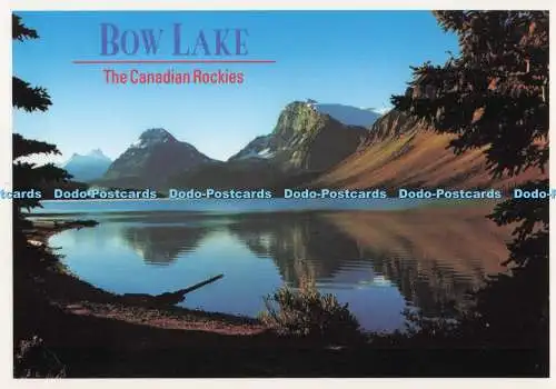 D277979 The Canadian Rockies Bow Lake Altitude Publishing Don Harmon