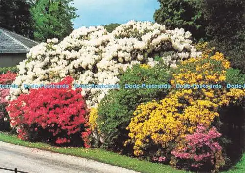 D282577 Sussex Leonardslee Gardens Nr Horsham The Entrance Beric Tempest and Co