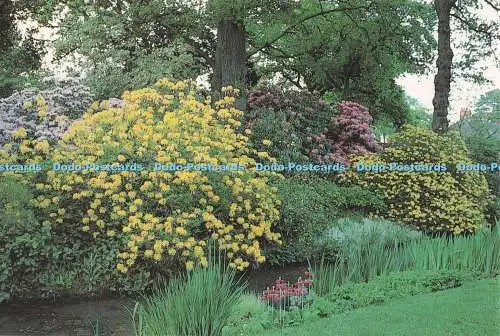 D282580 The Wild Garden Royal Horticultural Society Garden Burgess and Son Ltd