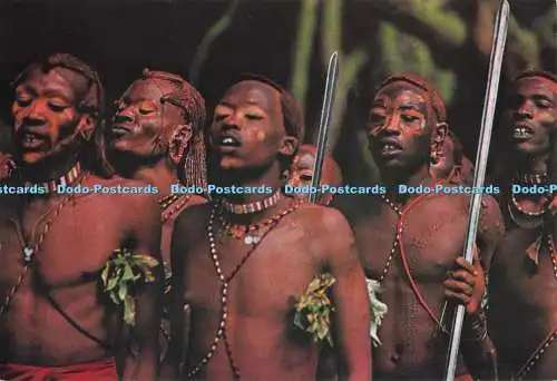 D280190 Kenya Masai Warriors Kenia Stationers Dino Sassi