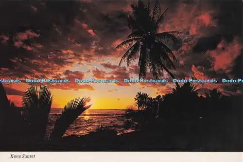 D277990 Kona Sunset Movie Supply of Hawaii The Continental Card