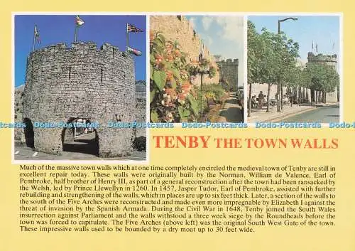 D284891 Tenby Die Stadtmauern Sucher Postkarten Alan Shepherd Verlag Mult