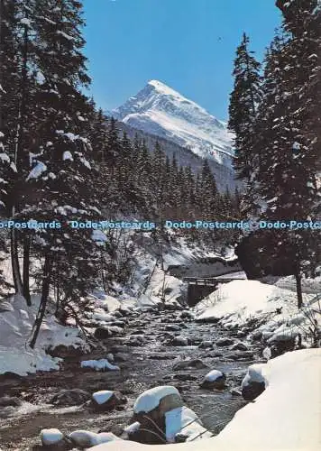 D287131 Wintergrusse aus Den Alpen Tiroler Kunstverlag Chizzali K T V
