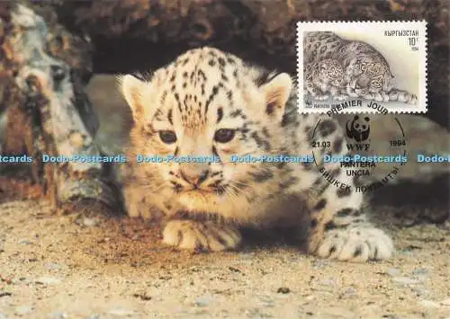 D287171 Snow Leopard W W F World Wide Fund For Nature Official Maximum Card Jurg
