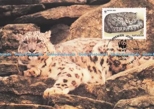D287172 Snow Leopard W W F World Wide Fund For Nature Official Maximum Card Bruc