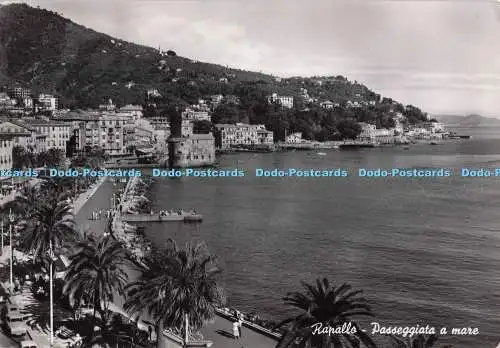 D278069 Rapallo Passeggiata a Mare Bromostampa RP 1958