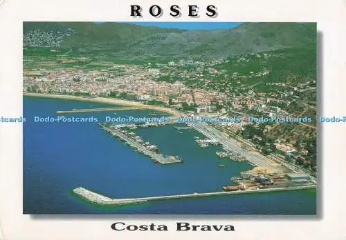 D278072 Rosen Costa Brava Catalan Roc Catalan