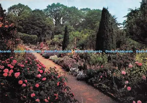 D287194 Hidcote Manor Gardens The Old Rose Walk J Arthur Dixon PM Cheltenham Glo