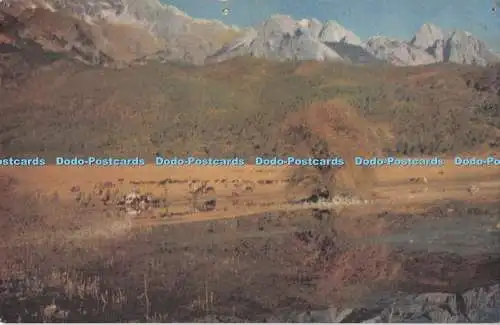 D284955 Provinz Yunnan Der Jade-Drachenberg Fremdsprachen Presse China