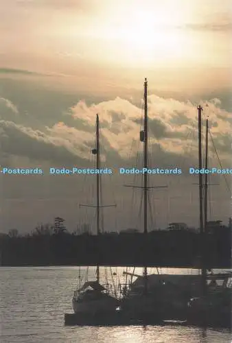 D282666 Suffolk Woodbridge River Deben Evening Abacus Ltd Peter Williams Photogr