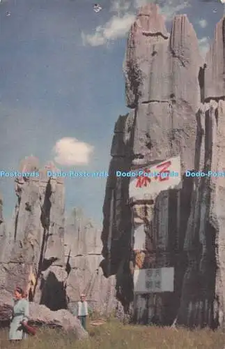 D284957 Der Wald aus Stein in der Provinz Yunnan Fremdsprachen Presse China