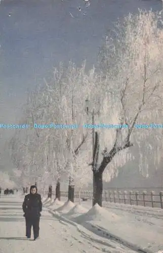 D284958 Provinz Kirin Ufer des Flusses Sungari Fremdsprachen Presse Chin