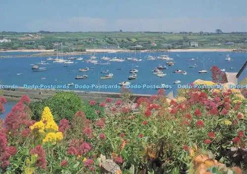 D278087 Isles of Scilly St Mary The Harbour From The Garrison Beric Tempest F E