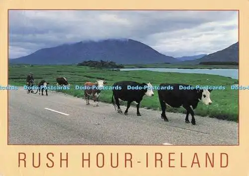 D287211 Irland Rush Hour John Hinde Peter O Toole