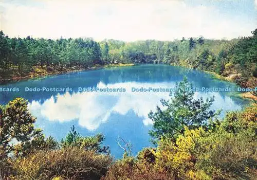 D284976 Der blaue Pool in der Nähe von Wareham Wedgwood und Royal Worcester J Arthur Dixon