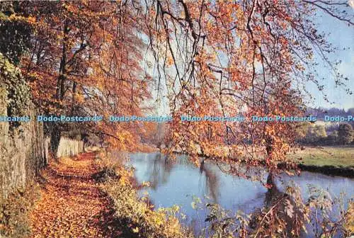 D287231 Surrey Guildford The River Wey J Arthur Dixon Newport I W England Kennet