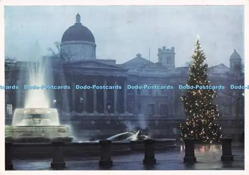 D284994 National Gallery The National Gallery ad the Christmas Tree Trafalgar Sq