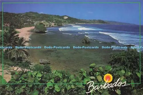 D287252 Barbados Ideas Don Jordan Cot Printery