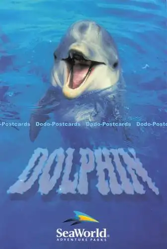 D285011 Ein freundliches Lächeln aus einem der Dolphin SeaWorld Abenteuerparks