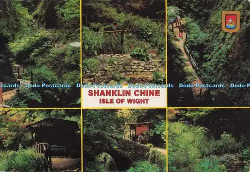 D280337 Shanklin Chine Isle of Wight W J Nigh Multi View