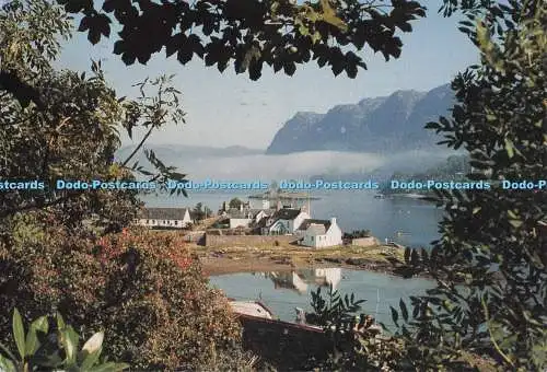 D278137 Schottland Ross Shire A View From a Plockton Garden Brenda M Hamilton 1995