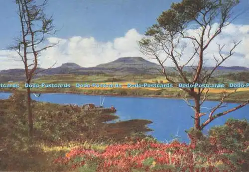 D282725 Isle of Skye Macleod Tische und Dunvegan Pier W S Thomson