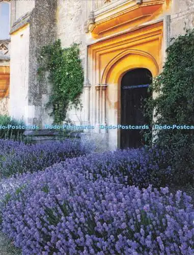 D282738 Wiltshire Lacock Abbey Lavender umgeben den Eingang zum mittelalterlichen