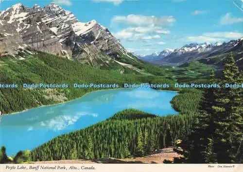 D287273 Alta Canada Peyto Lake Banff Nationalpark John Hinde Cabinteely Co Dubl