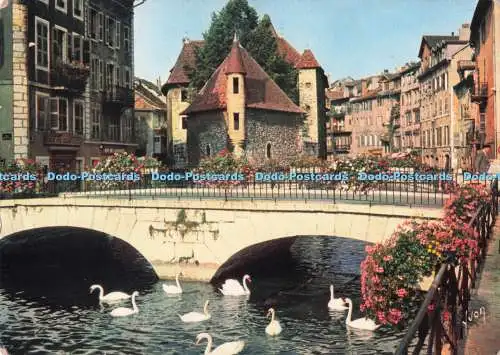 D285035 Annecy La Vieille Ville sur le Thou Yvon S P A D E M
