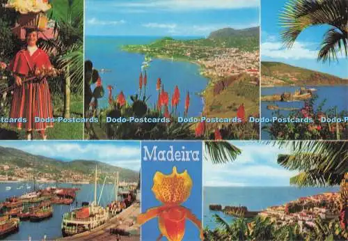 D287283 Madeira Die beste Aussicht auf Madeira Hans Huber F Ribeiro Multi View