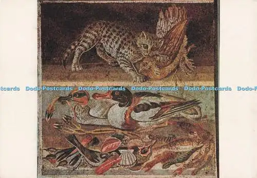 D280378 Museo o Nazionale di Napoli Katze und Rebhuhn Wildenten Vincenzo Karkav