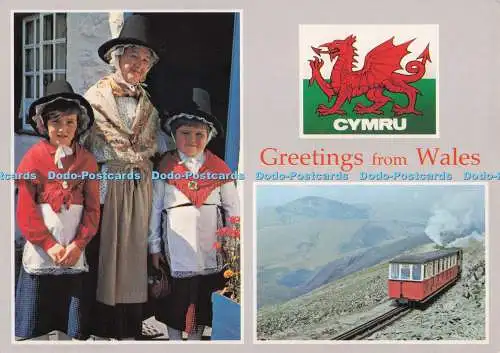 D278179 Grüße aus Wales National Costume Richter C 5166 Mehrfachansicht