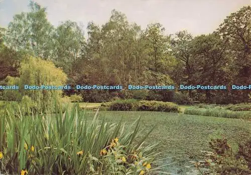 D280386 Surrey Richmond Park Isabella Plantation J Arthur Dixon