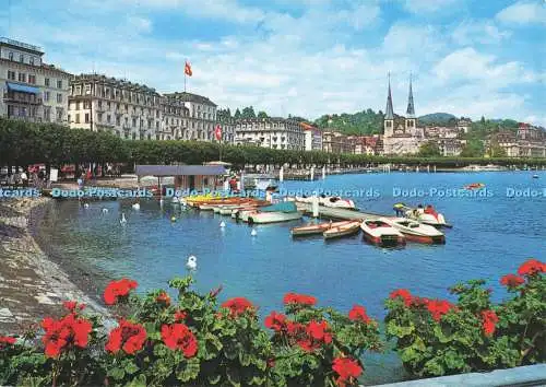 D287318 Luzern Blick auf Seeufer und Stiftskirche Rowesa