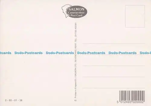 D280423 Canterbury J Salmon Multi View