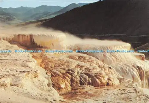 D282829 Yellowstone National Park Minerva Terrace Mammoth Springs H S Crocker Co