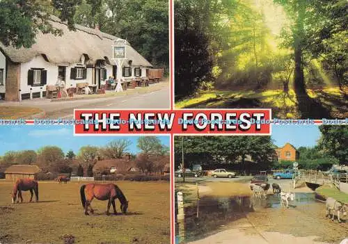 D287347 The New Forest Glade Ponies J Salmon Sevenoaks Kent 1996 Multi View