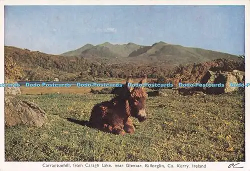 D282885 Ireland Co Kerry Killorglin Carantuohill from Caragh Lake near Glencar P