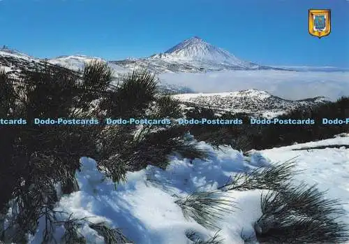 D278311 Tenerife Parque Nacional de las Canadas de Teide Fisa Comercial Escudo d