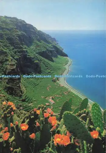 D278354 Madeira Madalena do Mar Hans Huber F Ribeiro 1990