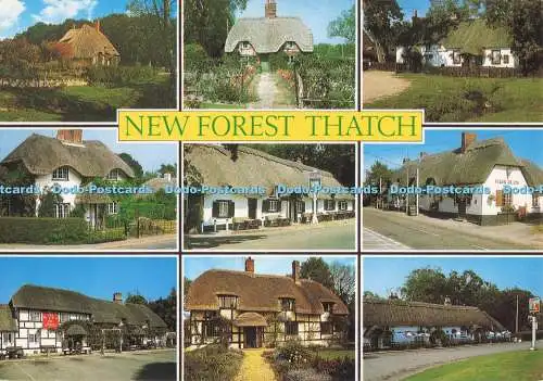 D282971 New Forest Thatch J Salmon Ltd Cameracolour Multi View