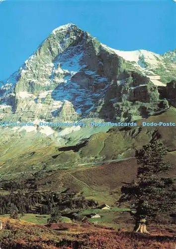 D287507 Eiger Nordwand ABF Nr 196 Interlaken