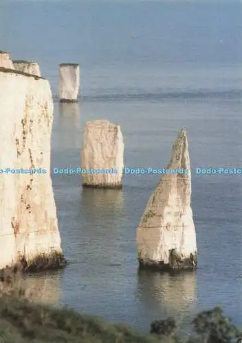 D278436 Dorset Handfast Point The Pinnacles Delphin Drucker F K C Hecht